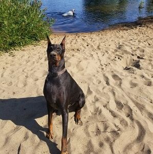 Meet your Posher, Kiara